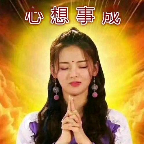 情字白头