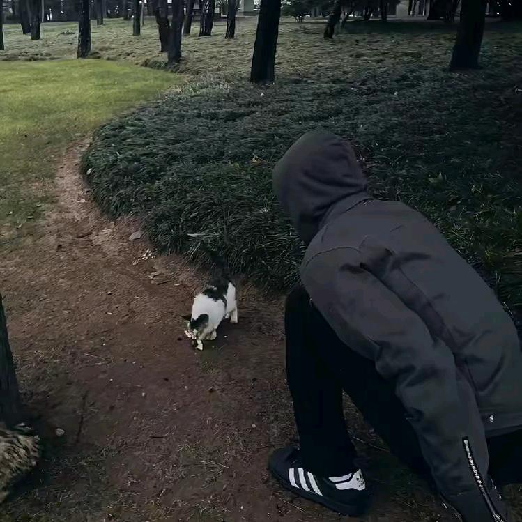 718