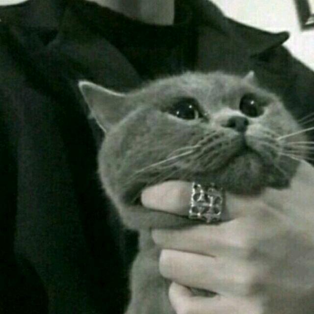 小泽