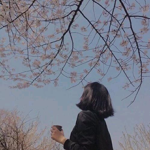 晓晓，