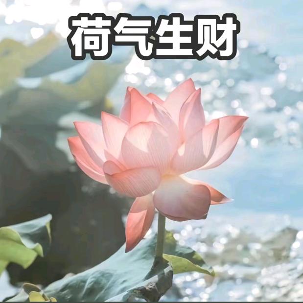 潘姐