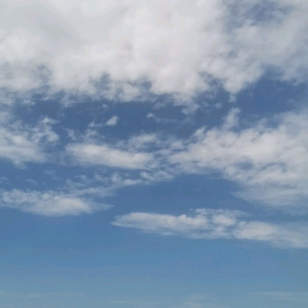 言出必行