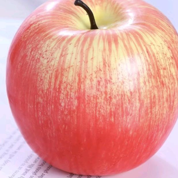 ❤️❤️❤️春夏秋冬四季🍎🍎🍎
