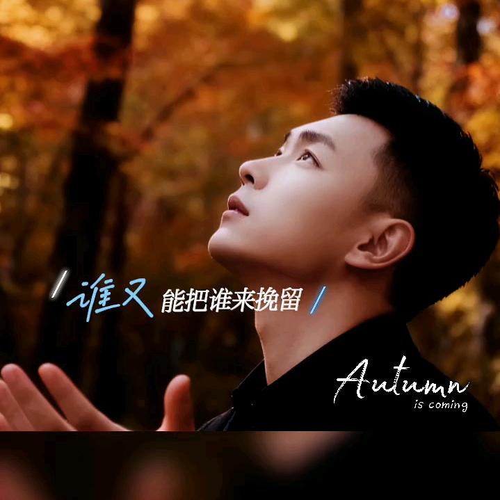 好运降林
