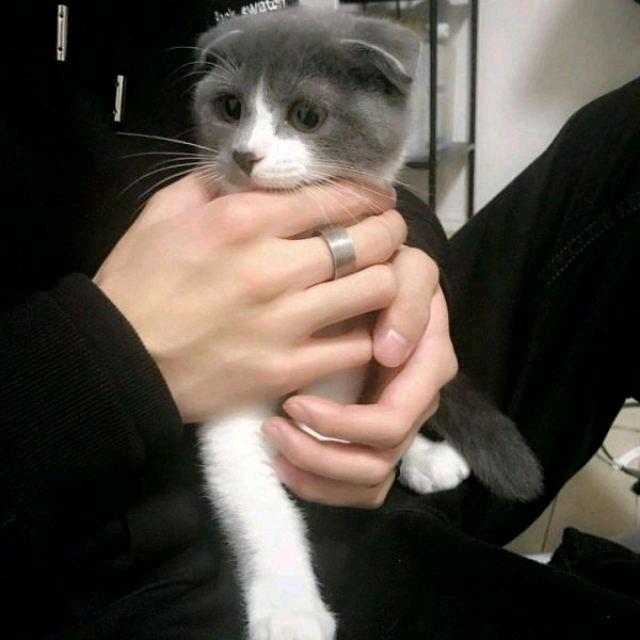 把昨天都作废