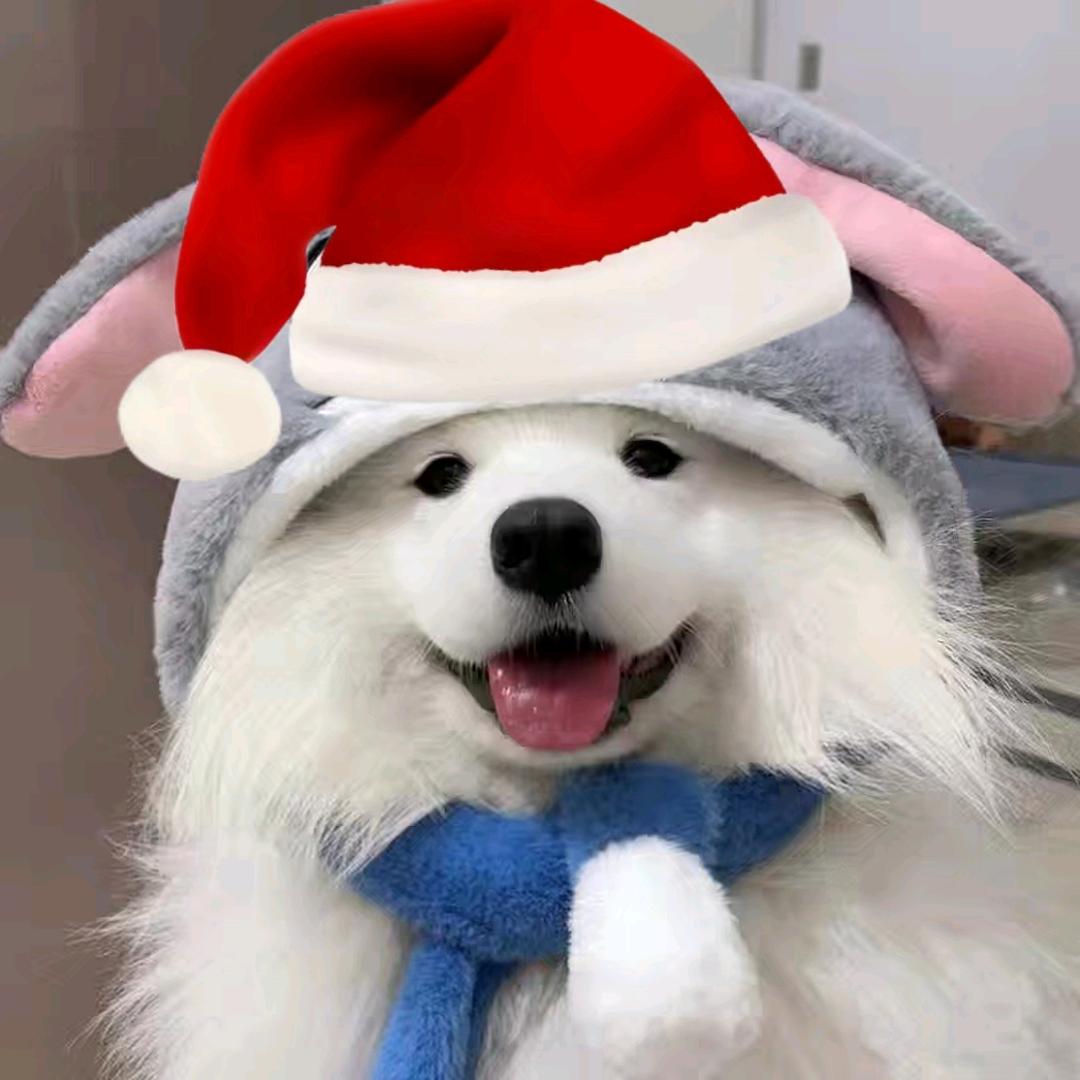 Pizriy细胞本bb☆