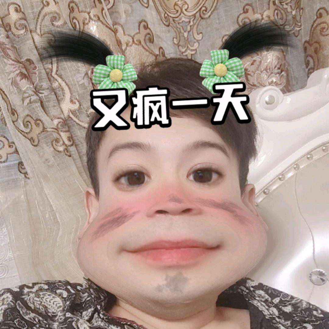 Moysipid
