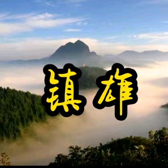 云C浙G哥