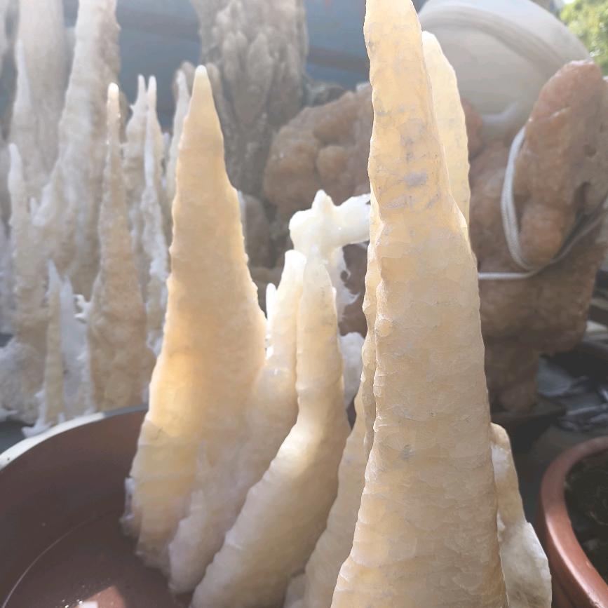三弟
