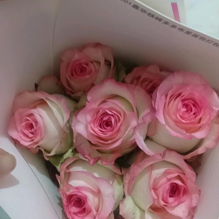 MZH✺◟(∗❛ัᴗ❛ั∗)◞✺