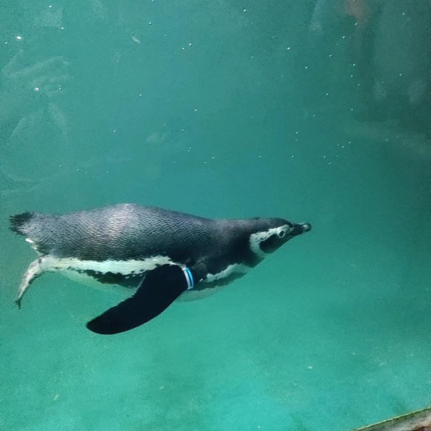 余 ⃢👁ܫ👁⃢ 曦