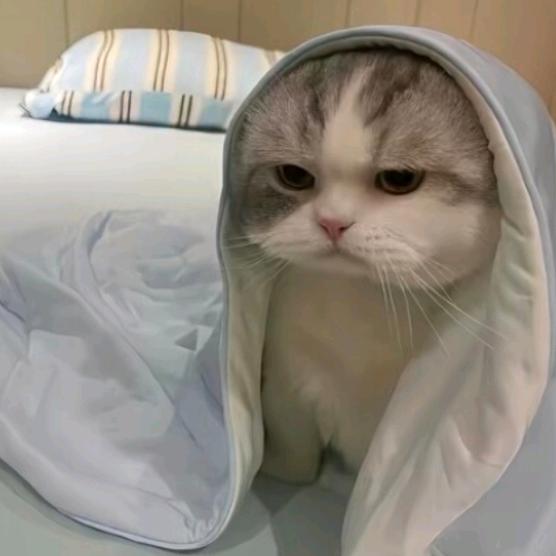 忘忧