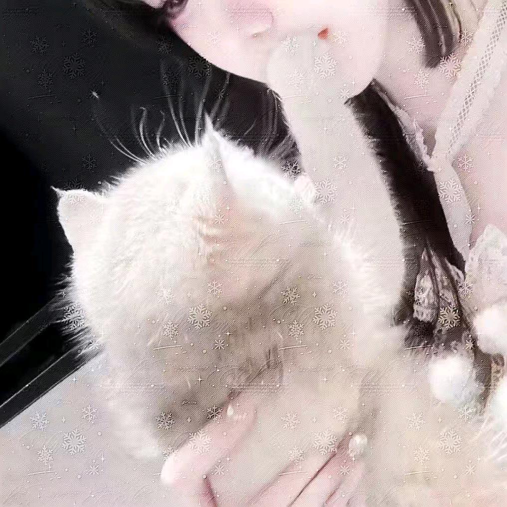 十一月雨