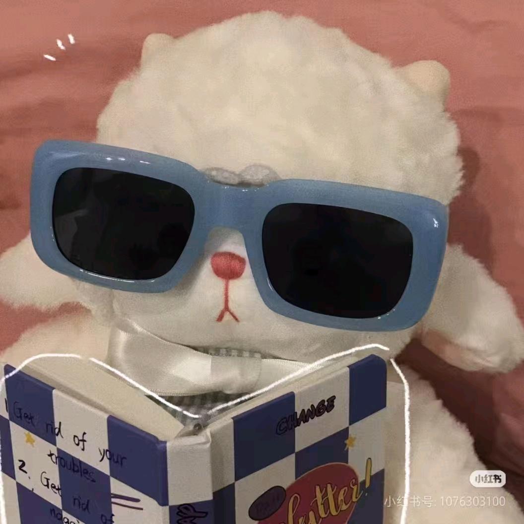 ☁︎☁︎☁︎瓦达西蛙