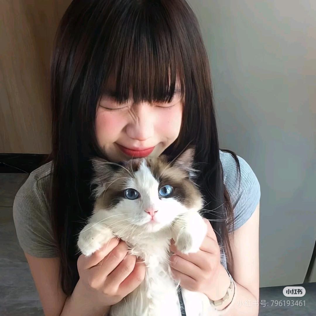 ᦗ 芝士小熊