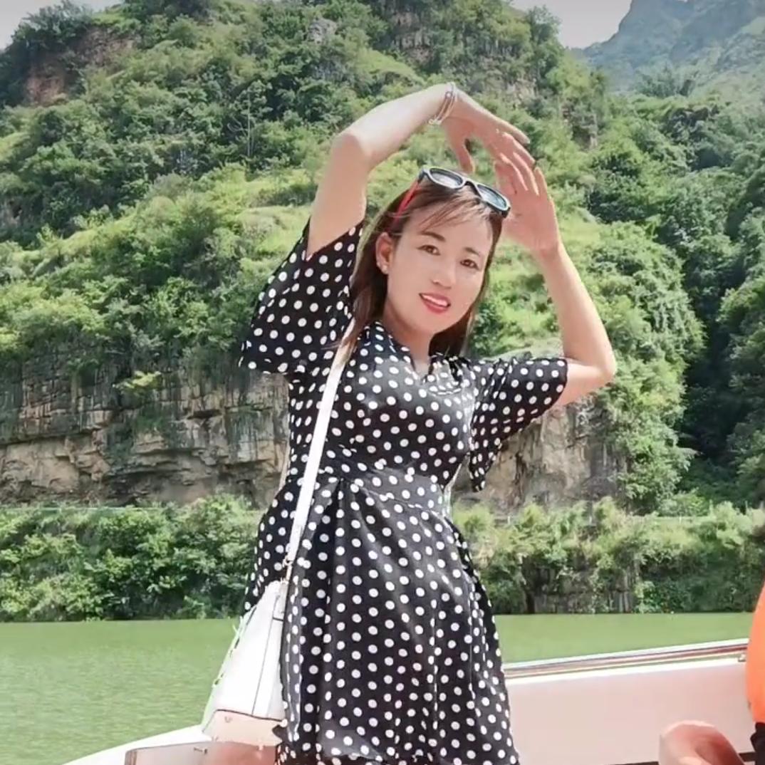 单只蝴蝶