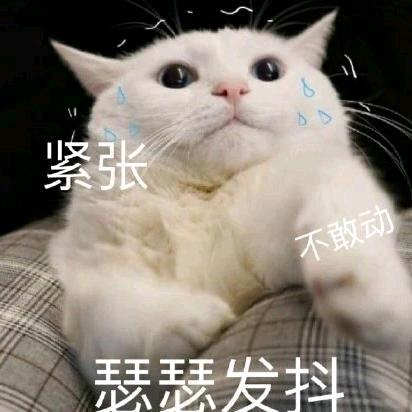 白面馒头