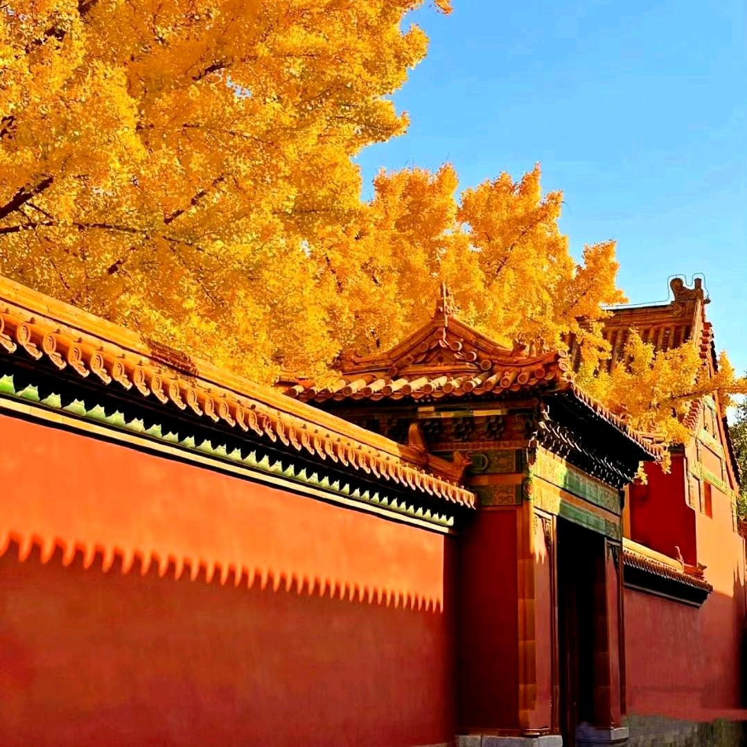 阳哥说餐