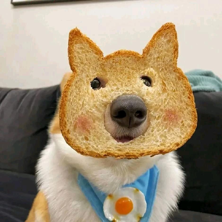 小马.