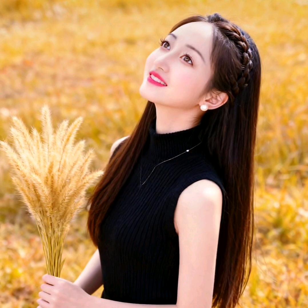 伤了我忘了他