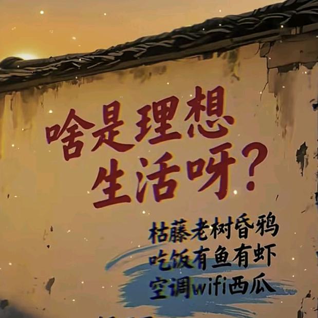 太阳☀当空赵