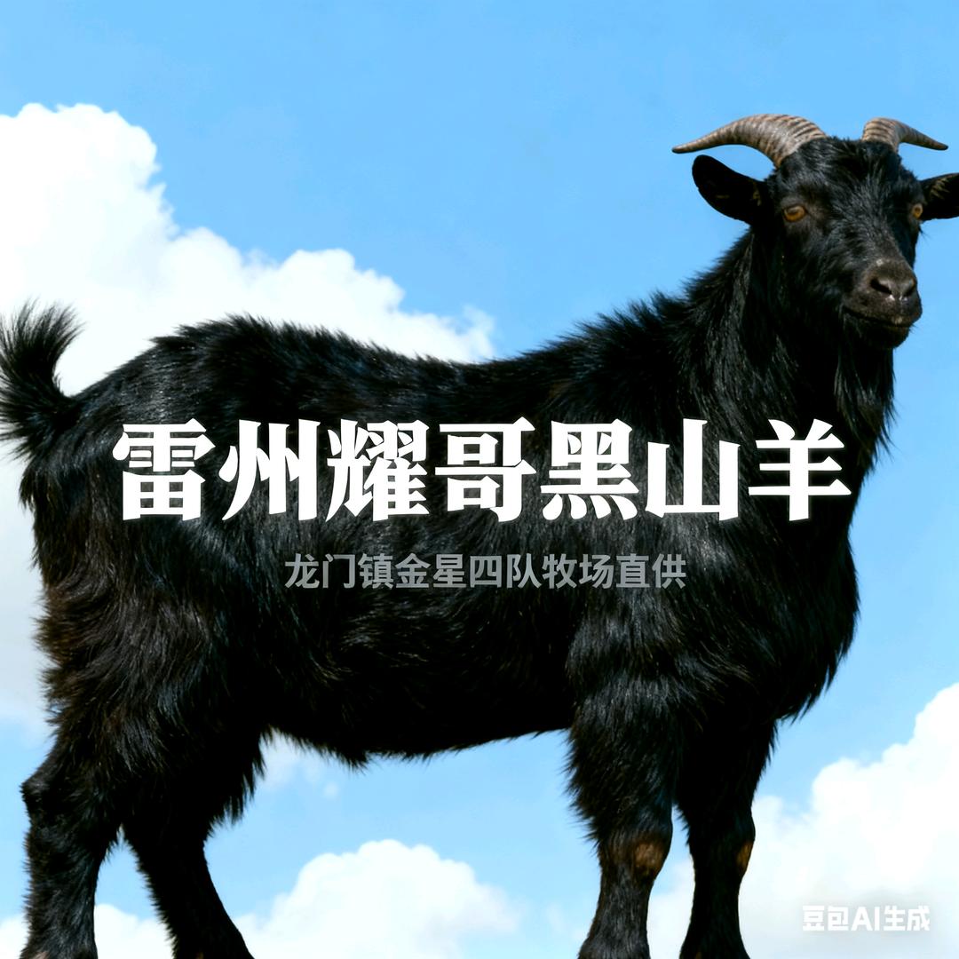 雷州耀哥黑羊
