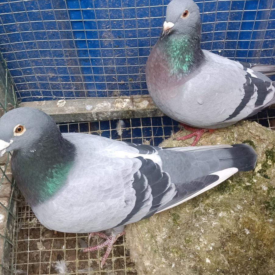 杨志海一个人开心快乐