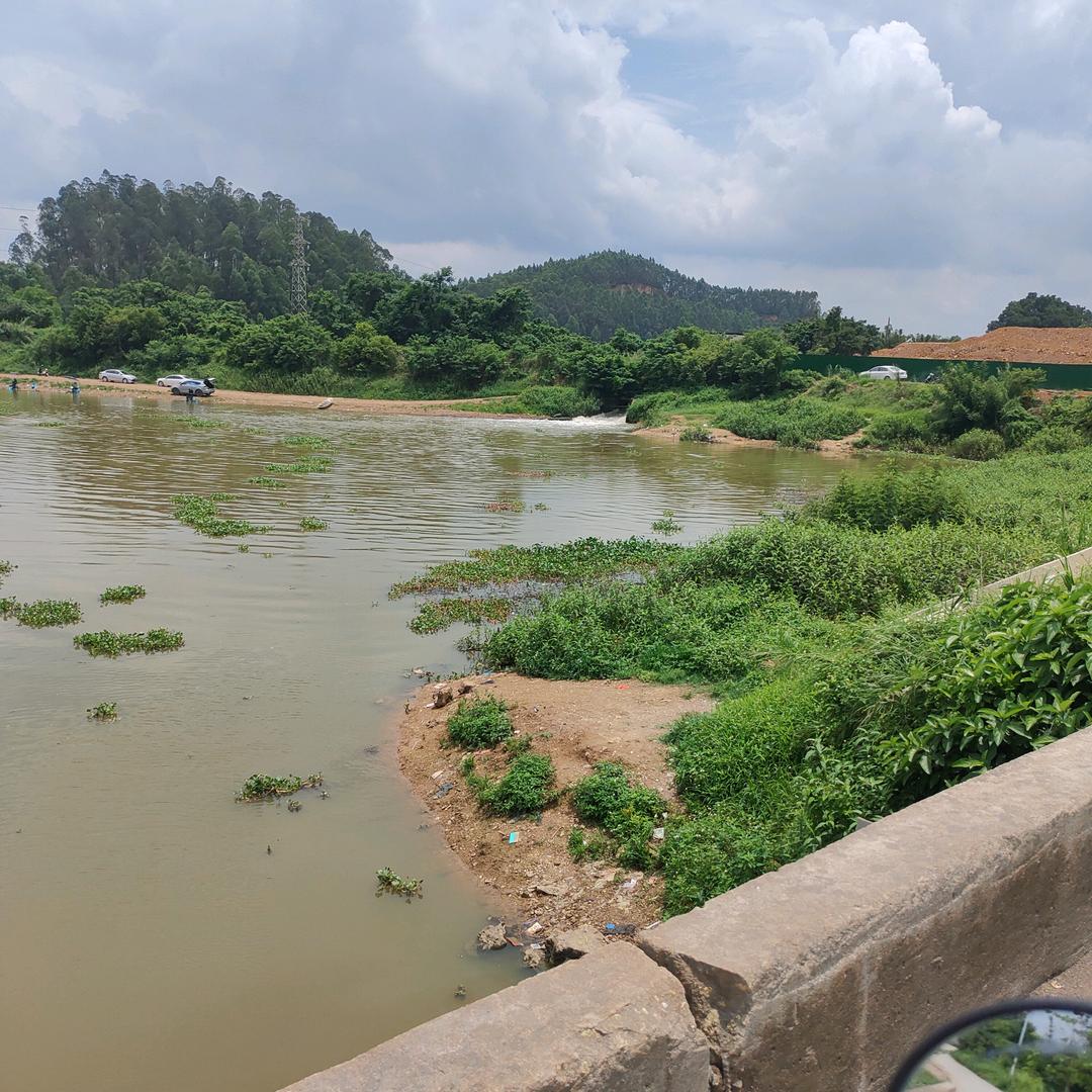 钓鱼不打窝掉的也不多