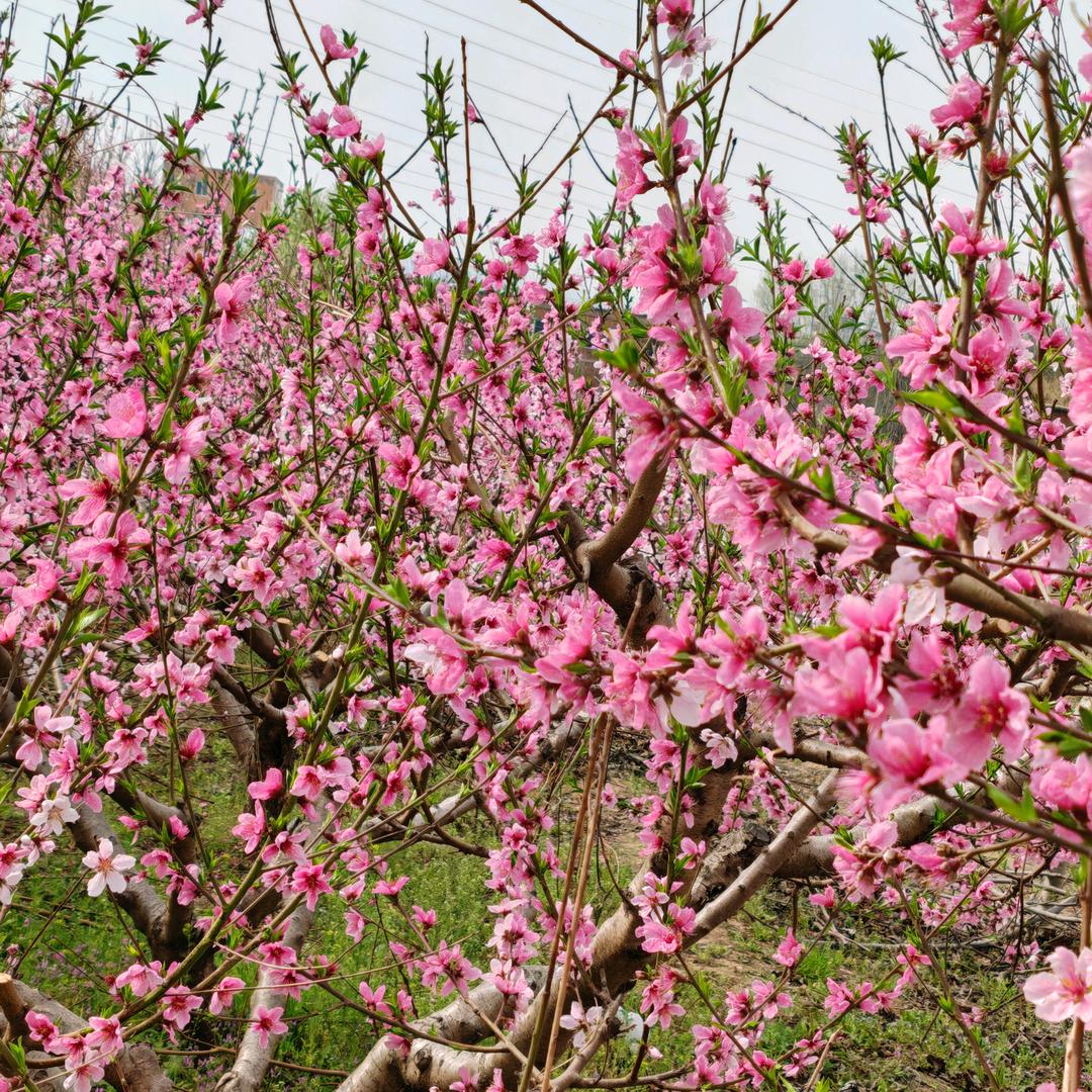 🍀এ᭄幸福在一起ོꦿృ༊