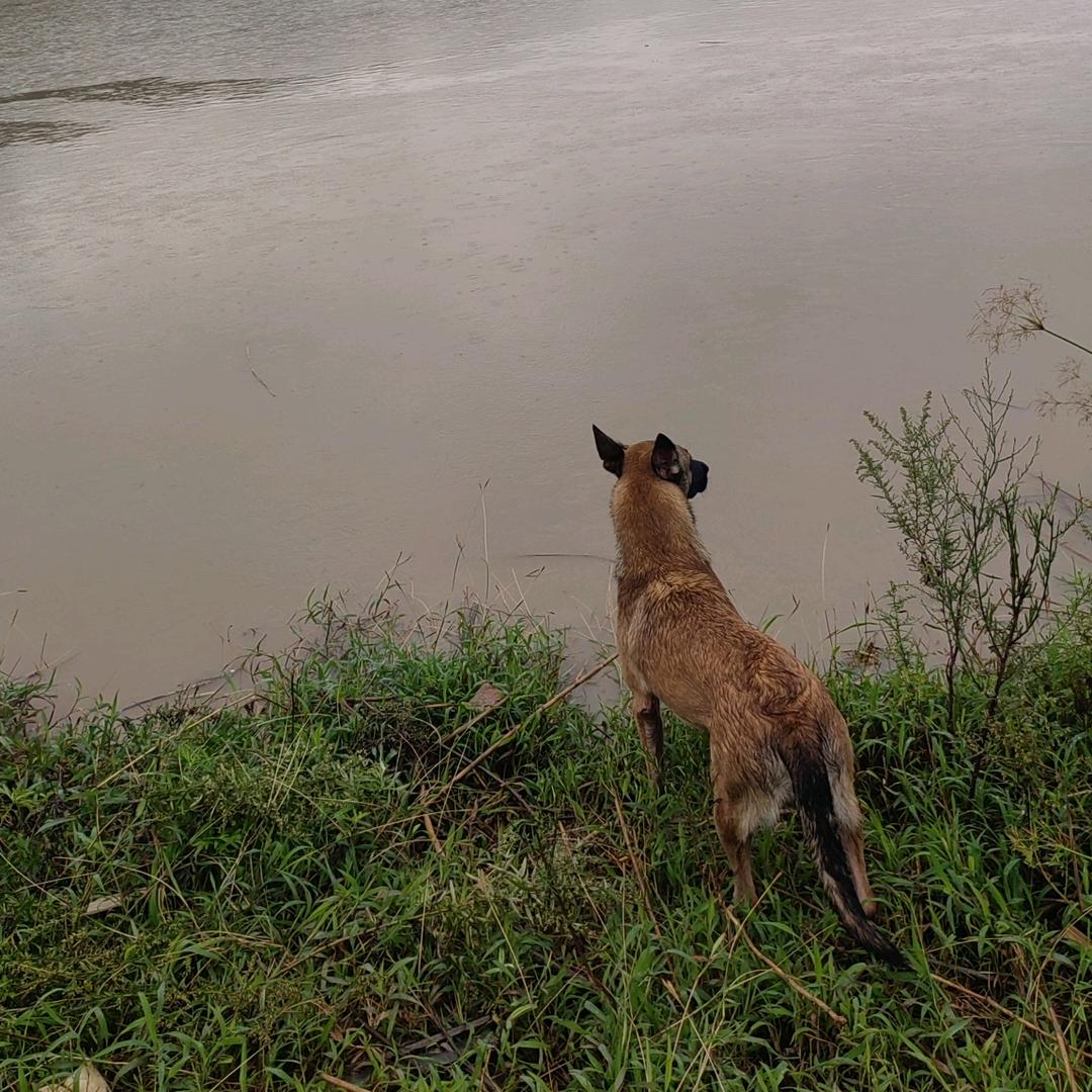 无知。福州连江。