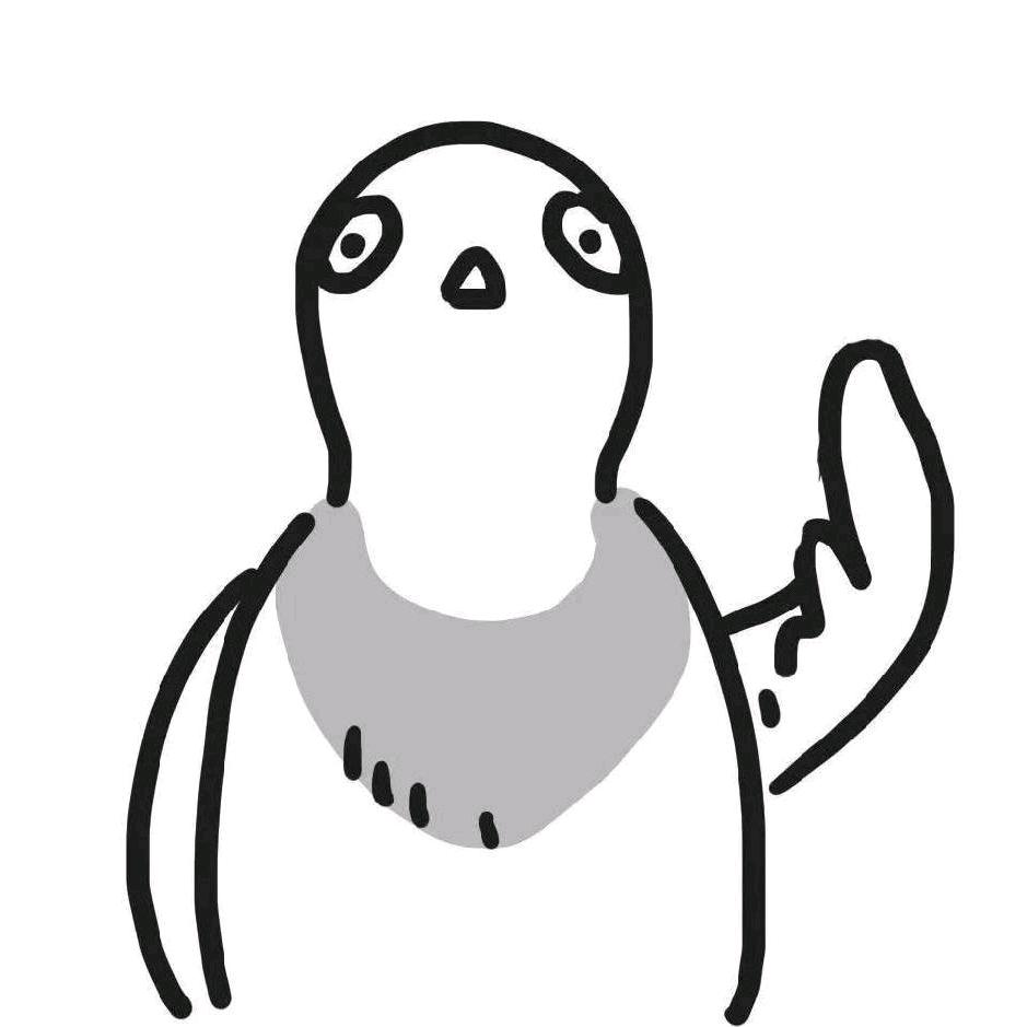 大鸽