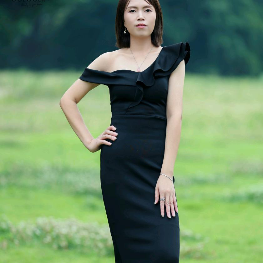 新慧创集团菊花🌺