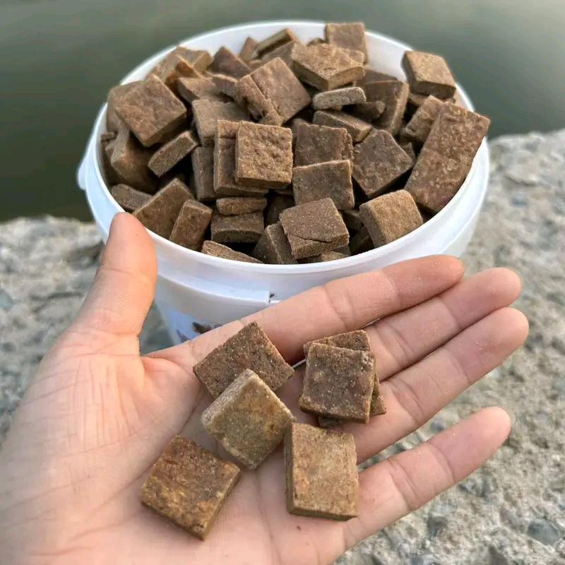 户外笨笨