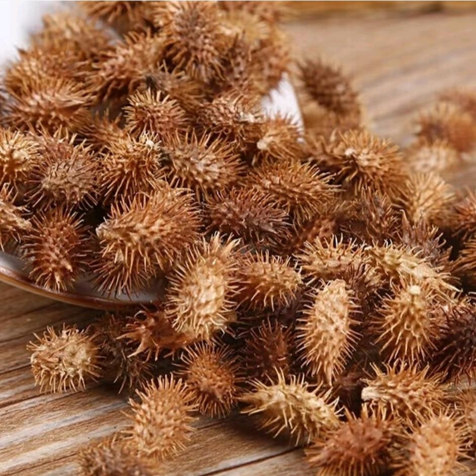 苍耳子护鼻油