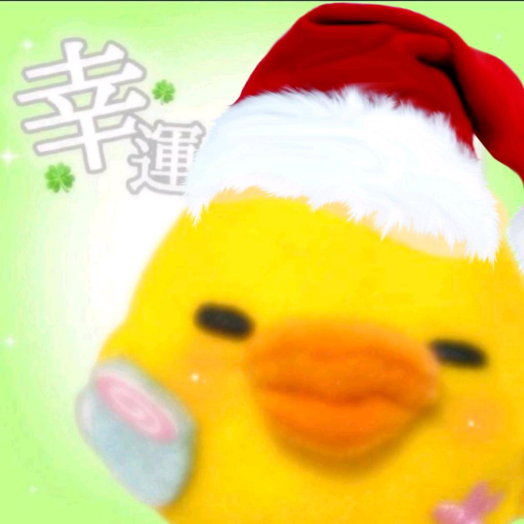 萌萌哒小鸡