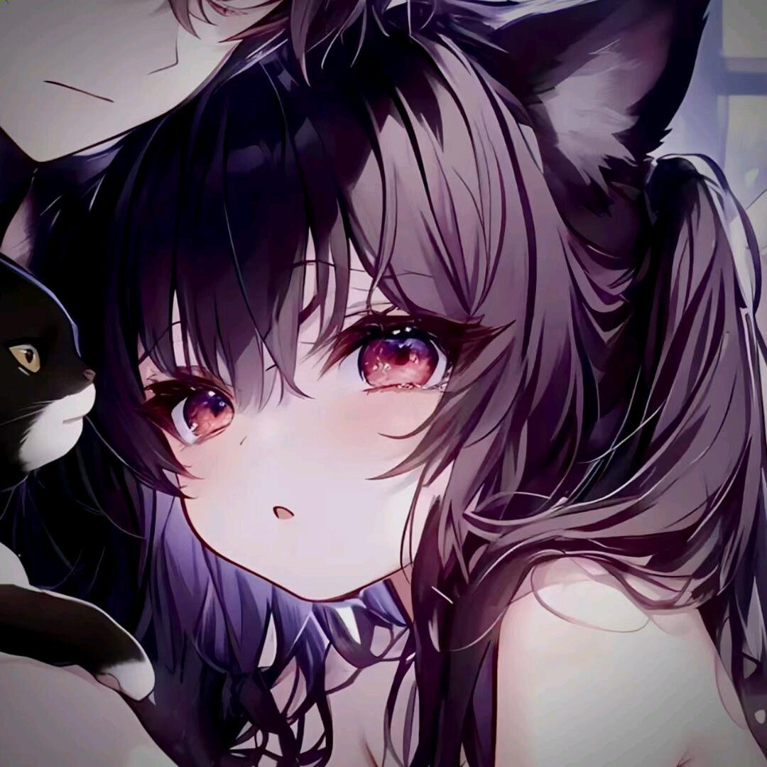声声月行