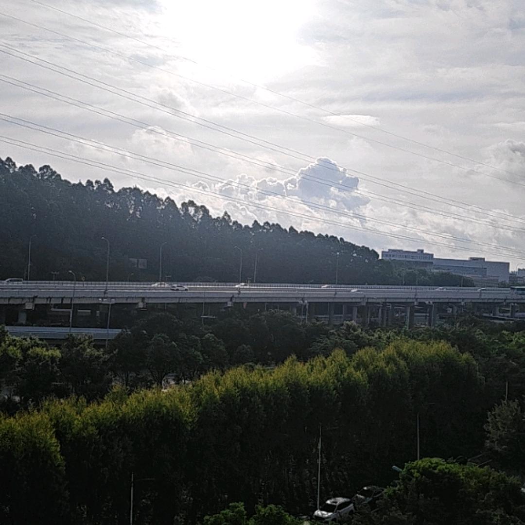 大学生旅游