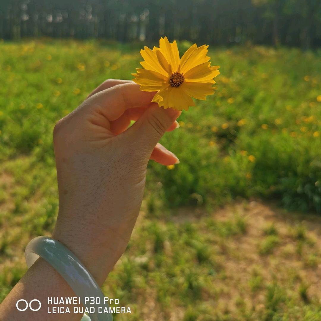 💫柠檬不萌✧(≖ ◡ ≖✿)✨