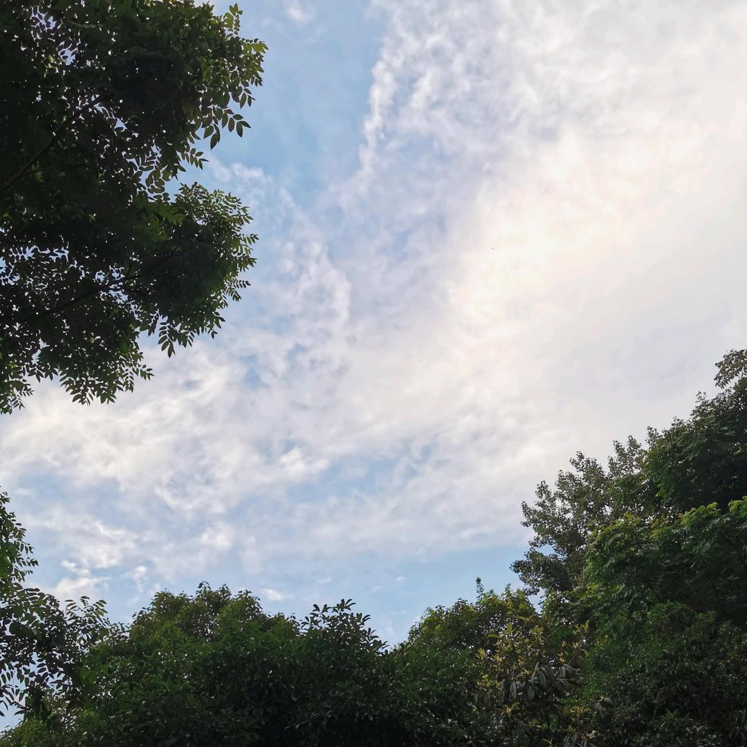 糯糯