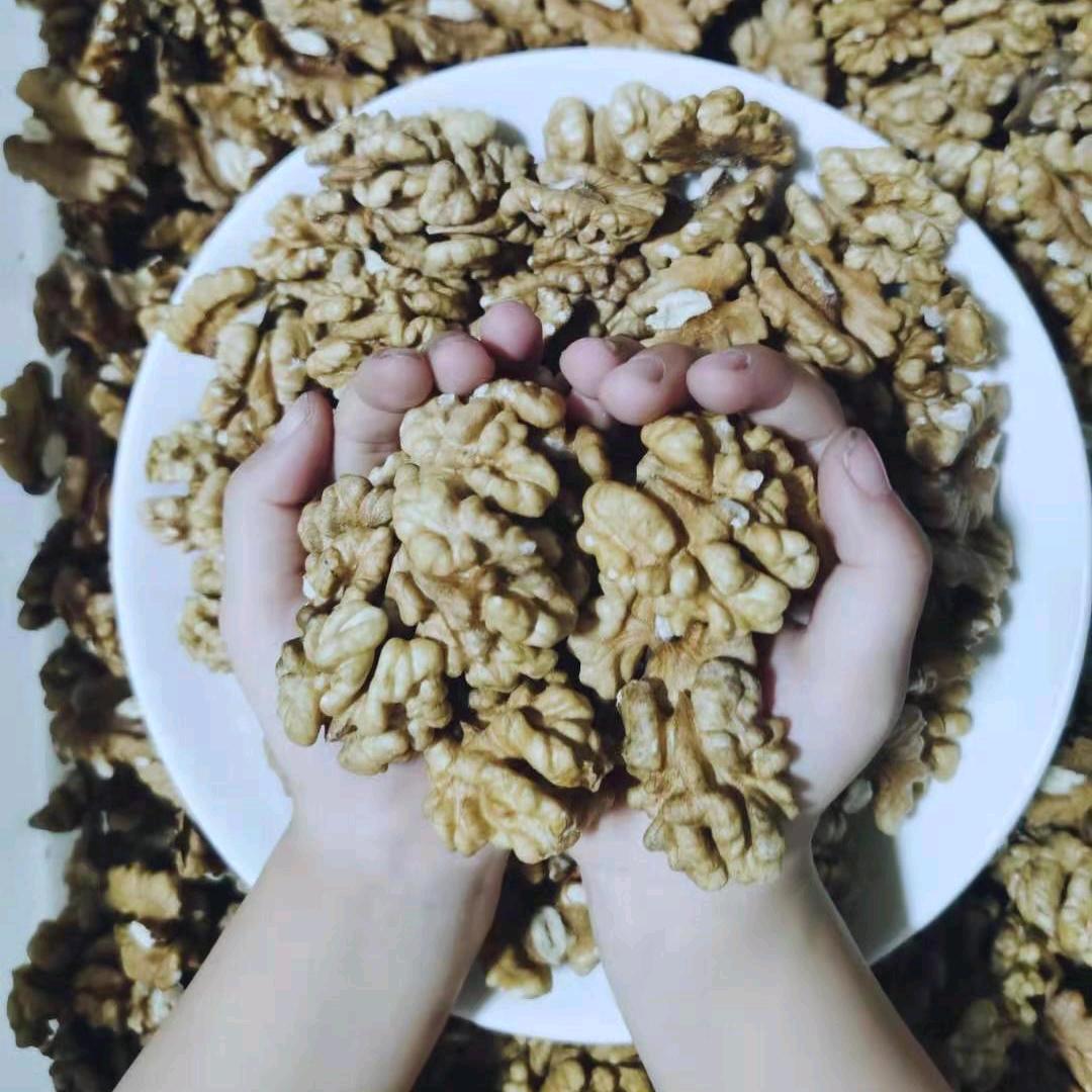 淘冬淘