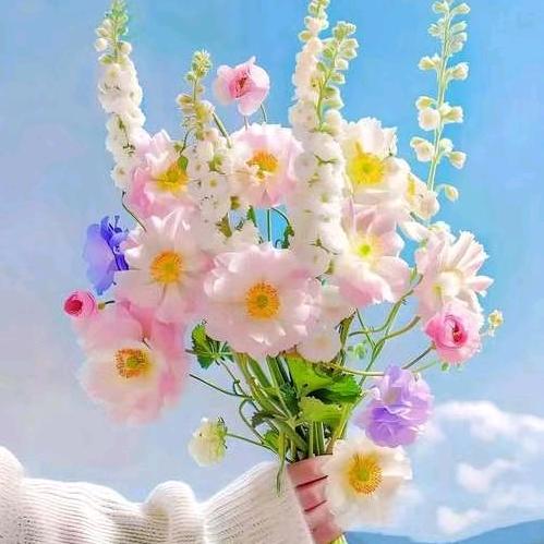 花🌸