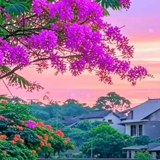 🌴哲哲🌴