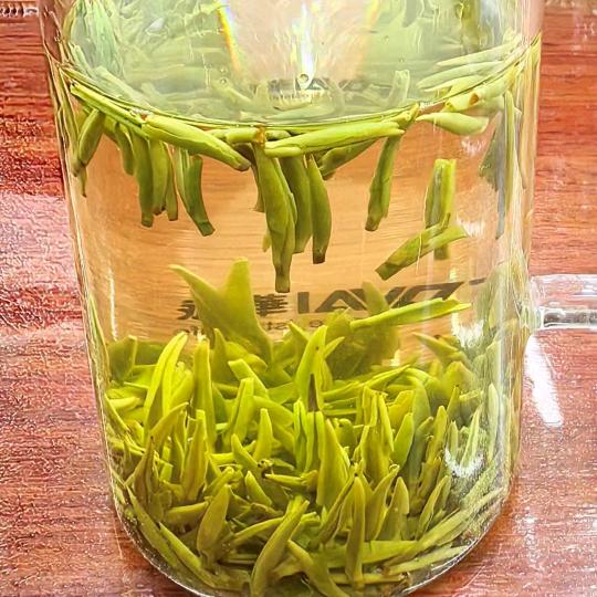 打工妹《新人首播，开播不定时》