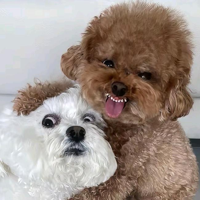 旮旯