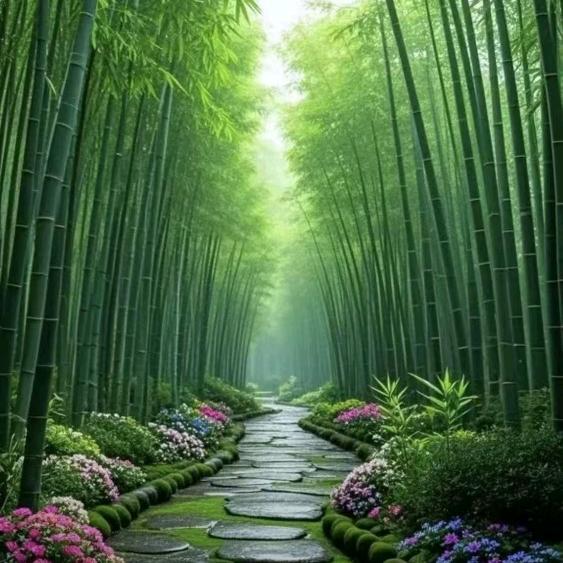 尚品汇男装（桂瑾