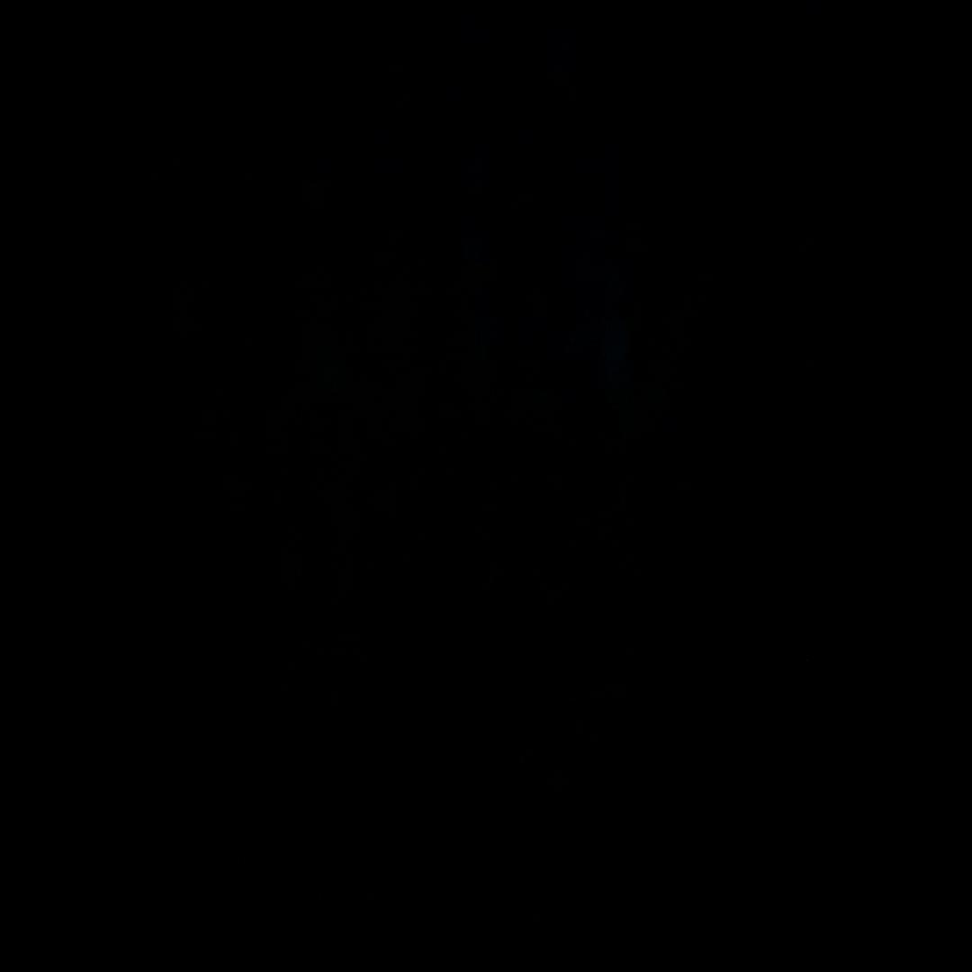 十三个月