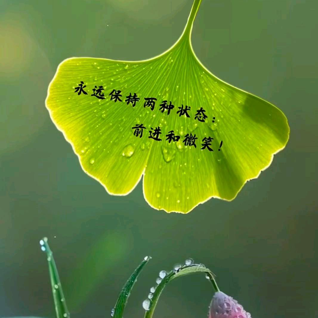 因为看清所以看清