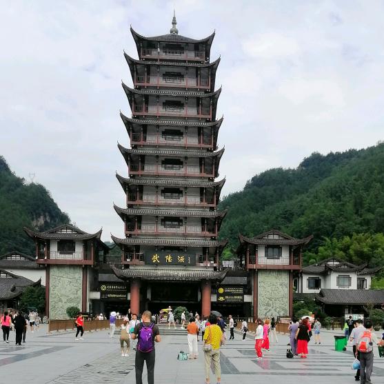 自由龙