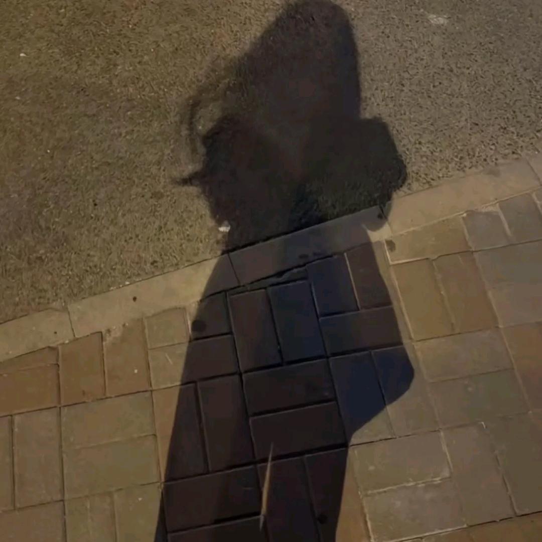 瓶盖33
