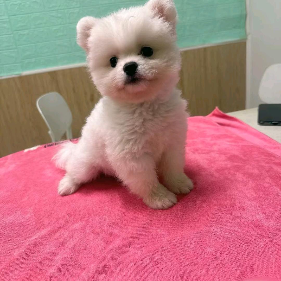 当爱已成往事